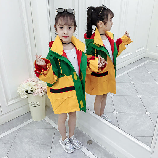 Colorblock Hooded Jacket Windbreaker
