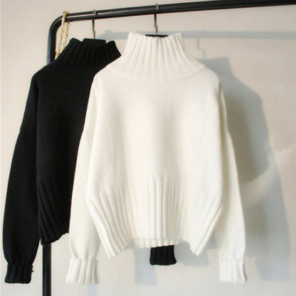 Pull col roulé couleur unie