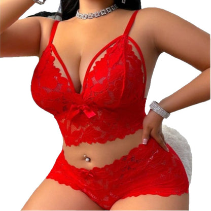 Lace Figure-hugging Bra Set With A Sheer Designseductive Sleepwear And Lingerie